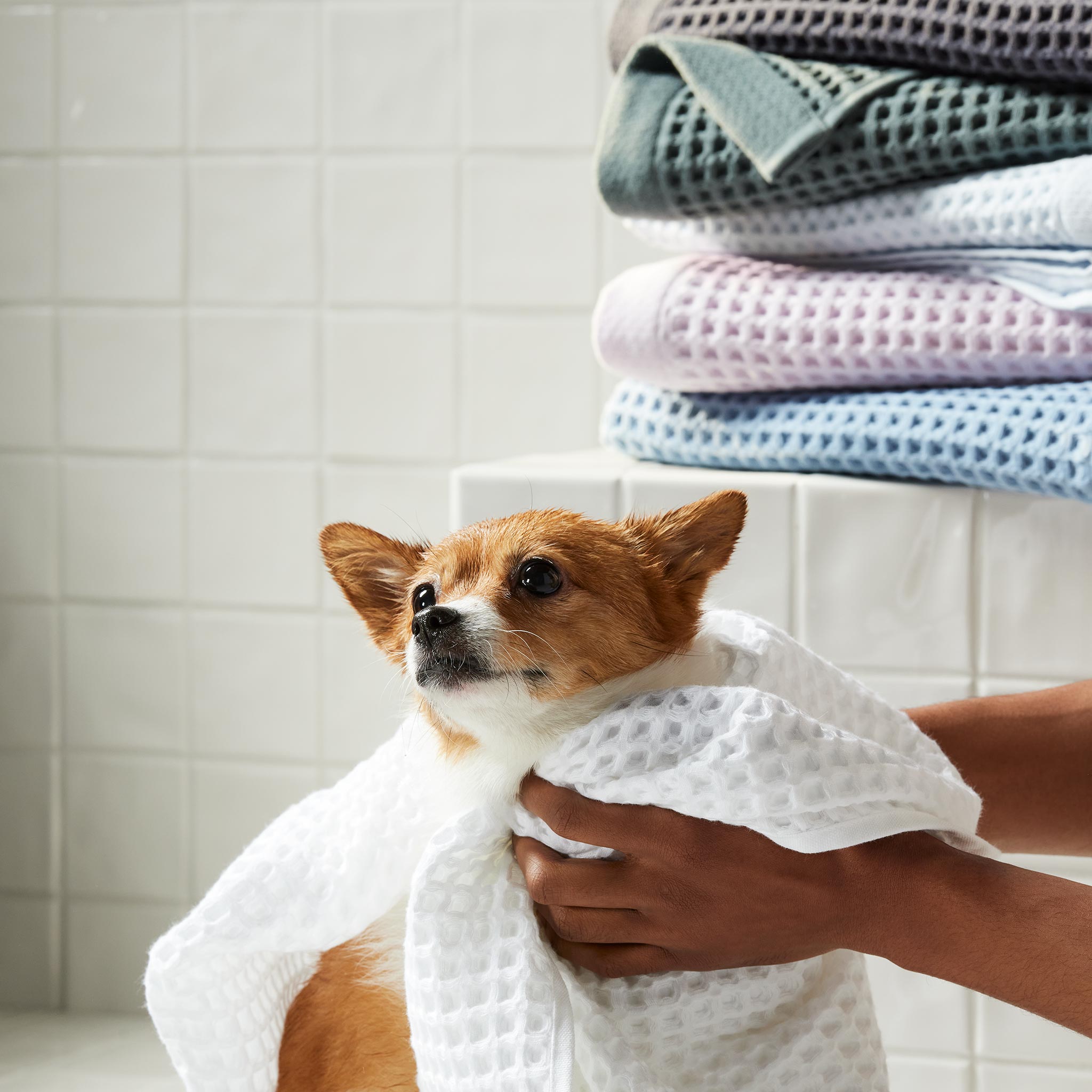 Dreamweave Waffle Hand Towels Set of 2 - Image 20