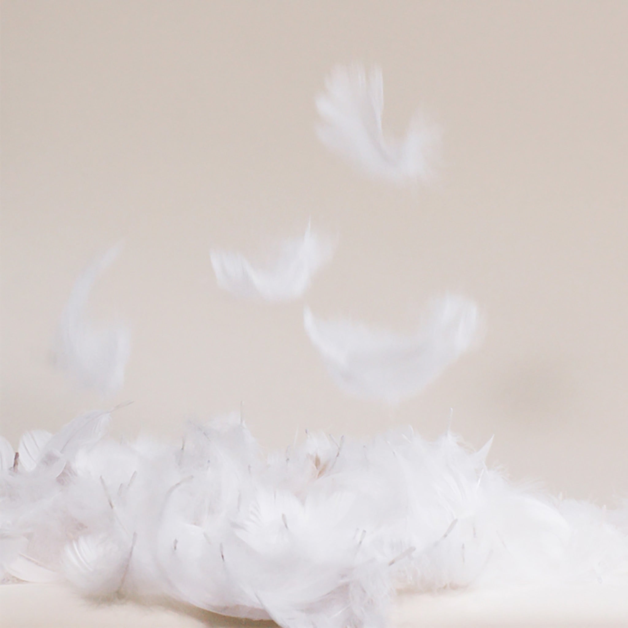 Down Comforter - Image 7