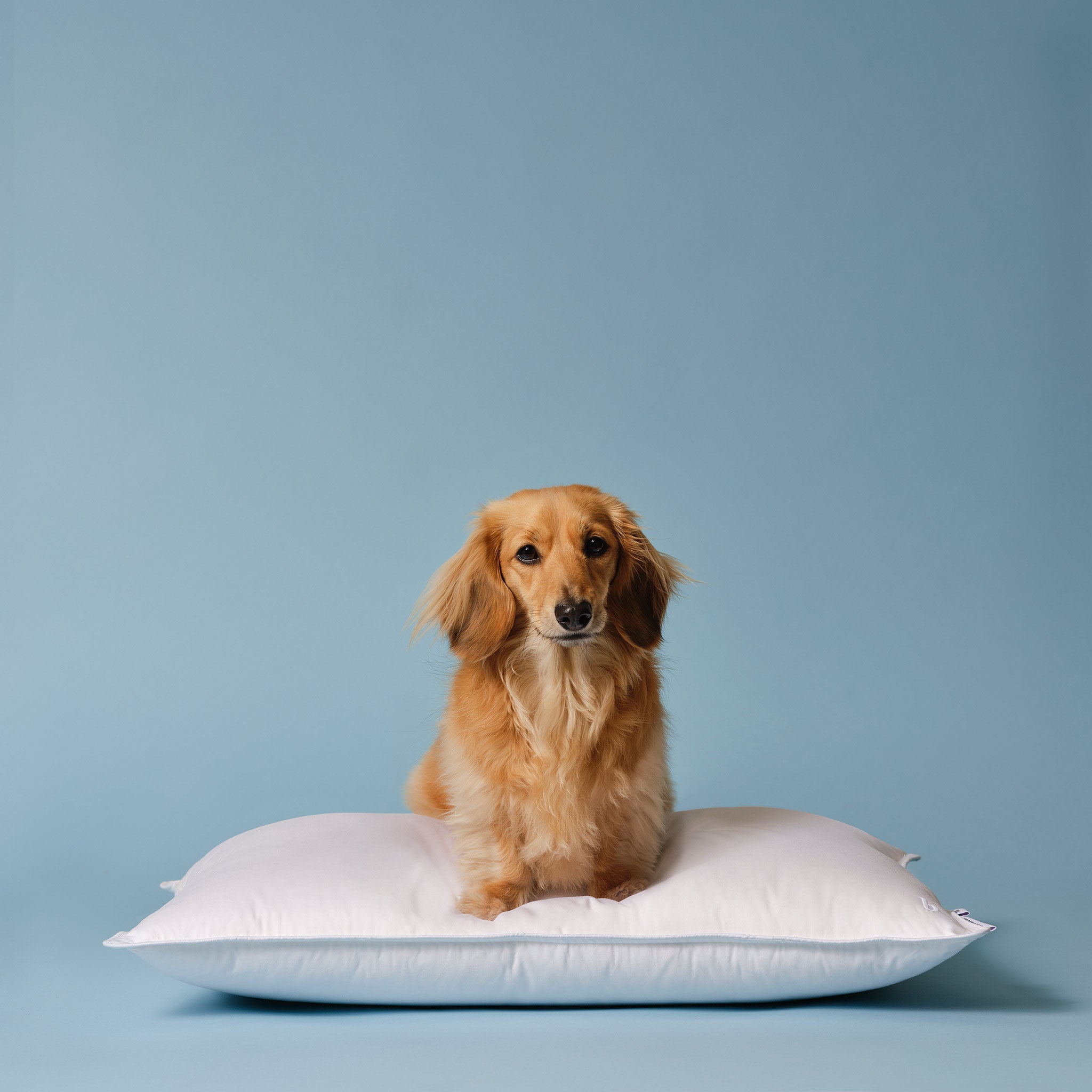 Down Pillow - Image 5
