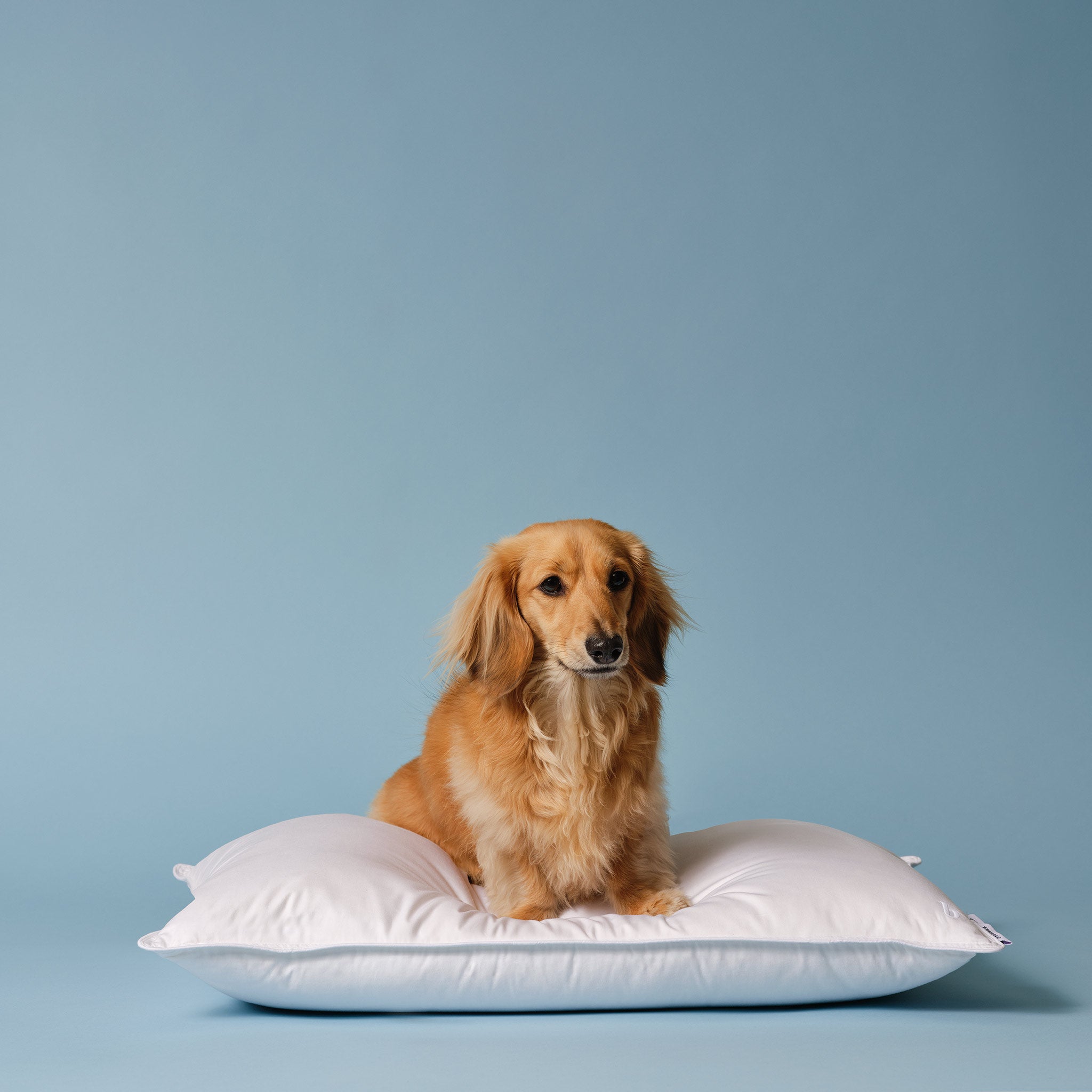 Down Alternative Pillow - Image 7