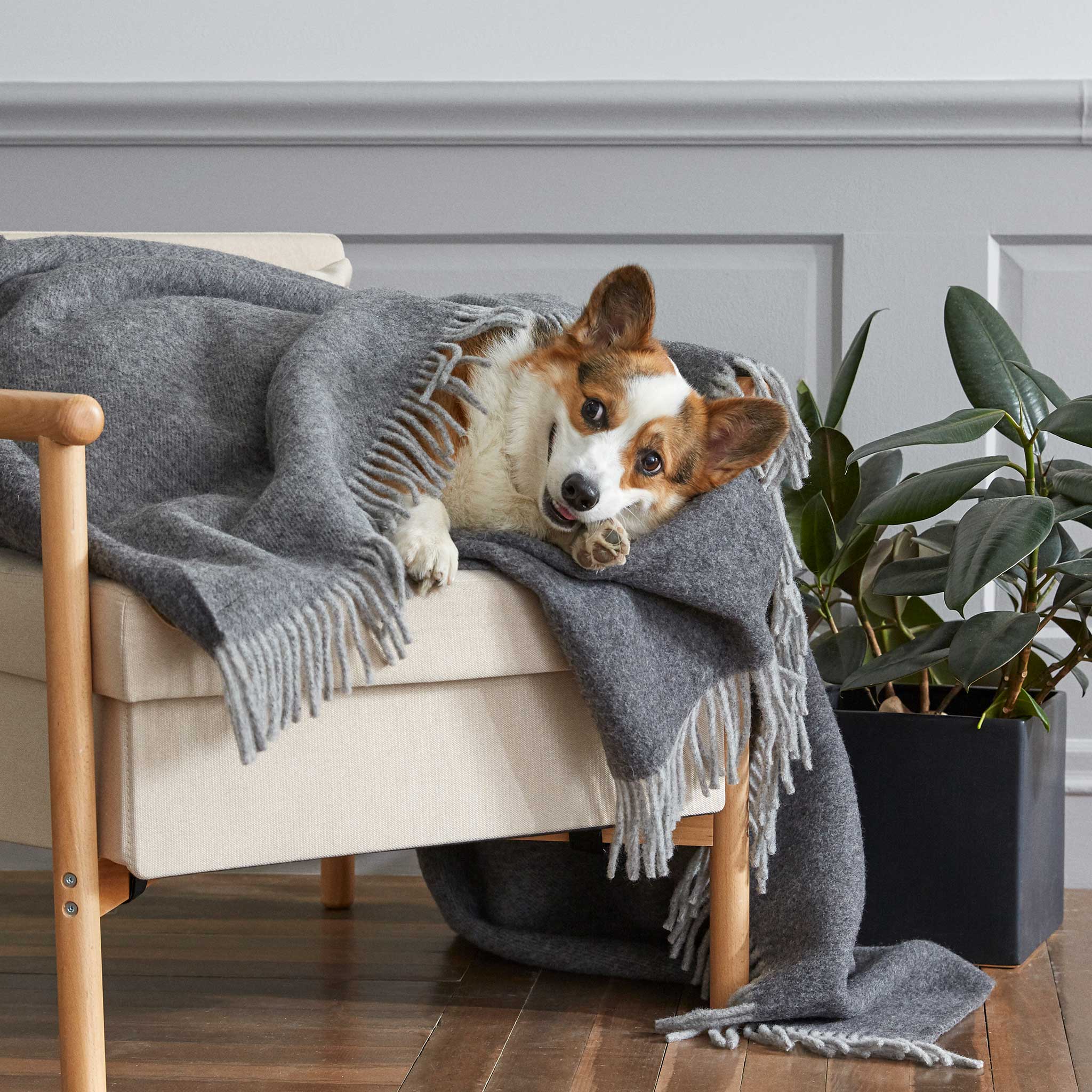 Pure Wool Throw Blanket - Image 5